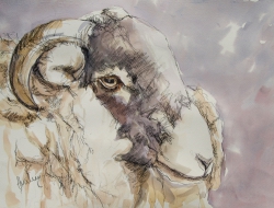 6. Lambs and sheep in watercolour art workshop